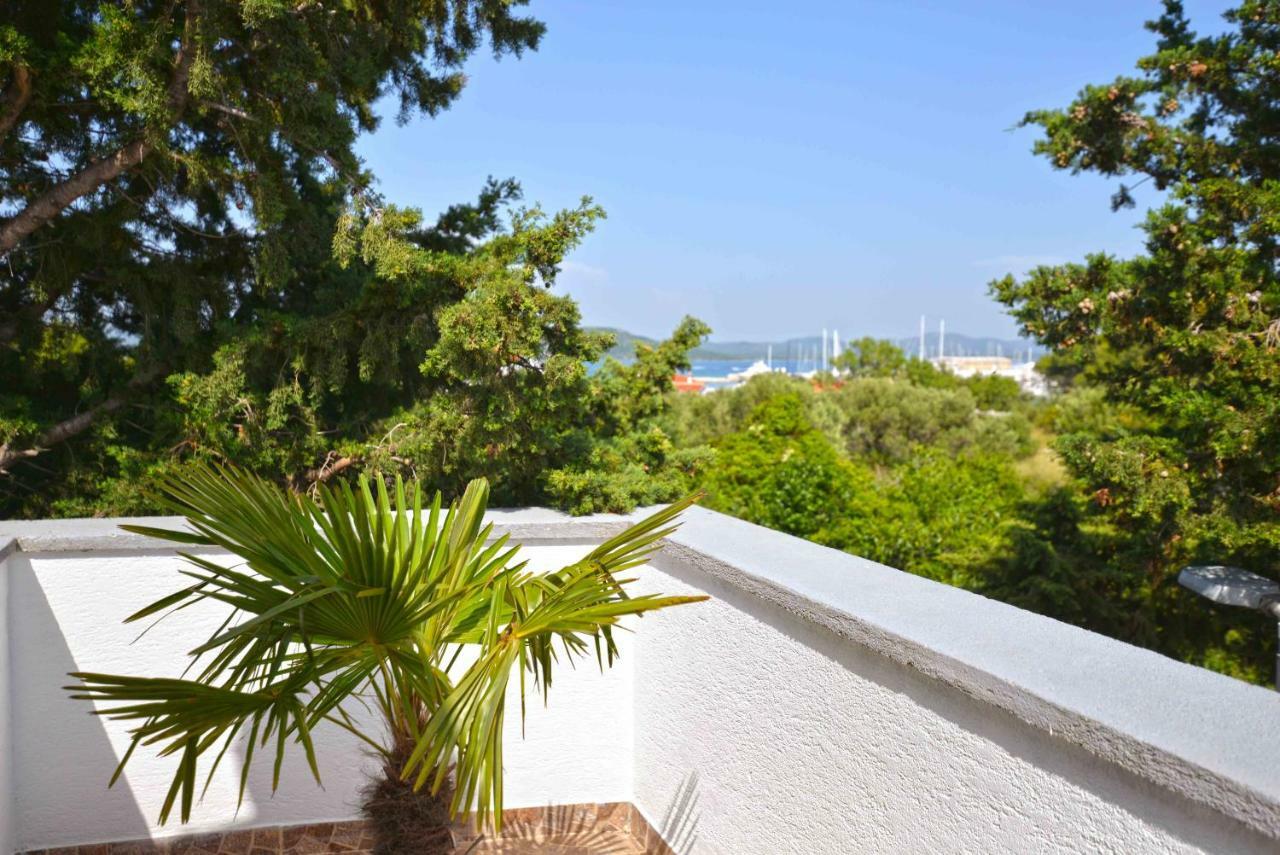 Apartment Zena Murter Ngoại thất bức ảnh